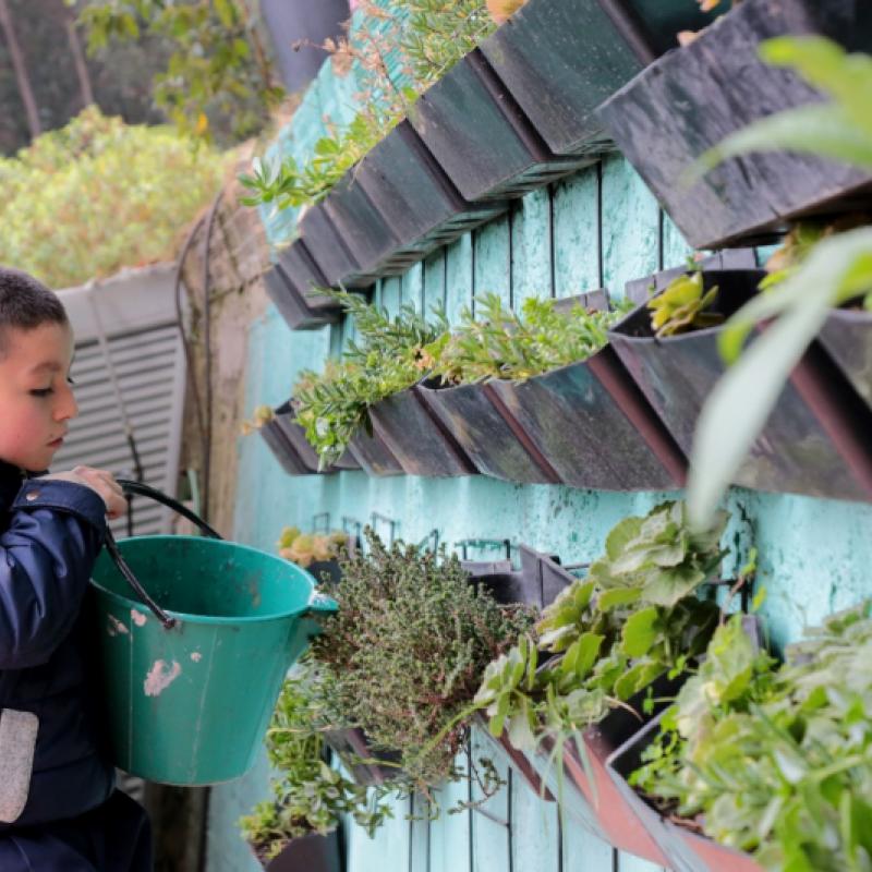 estudiante cuidando las plantas 